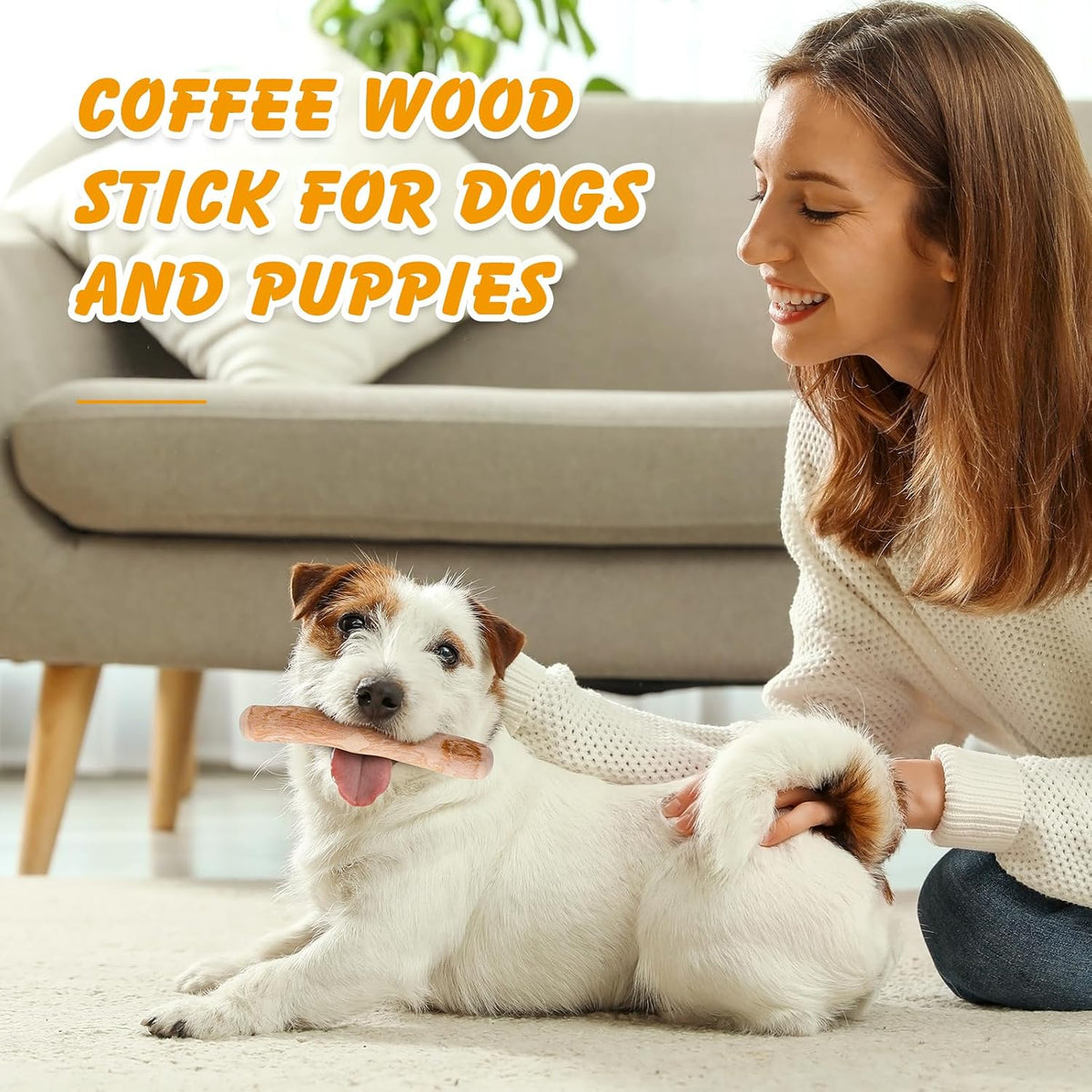 3 Pack Coffee Wood Dog Chew Toy - S, Dogs Chew Toys