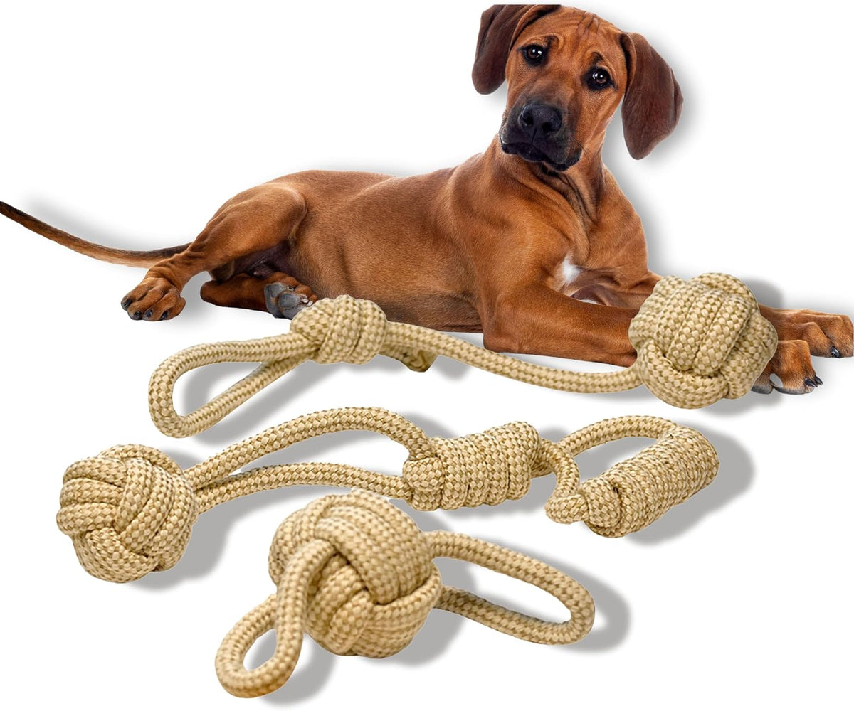 - Hemp Dog Toys, Made from Hemp Fibre & Organic Cotton, Gentle on Teeth & Gums - Sustainable, Natural, & Non-Toxic Materials, Suitable for All Breeds - Set of 3