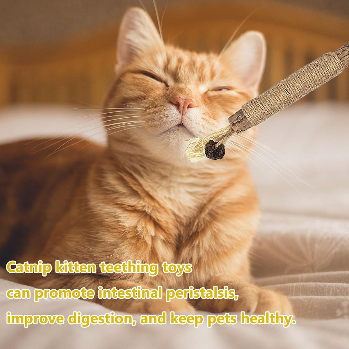 6 Pcs Natural Silvervine Sticks Kitten Teething Toys,Natural Cat Teeth Nip Cleaning Teeth,Chew Catnip Chew Toys,Naturalcat Chew Toys for Indoor Catteeth Cleaning Kitten Teething and Stress Release