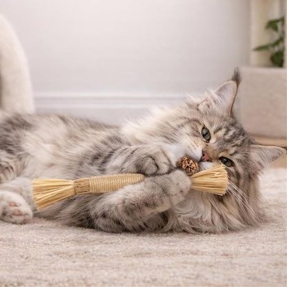 3PCS Cat Silvervine Chew Sticks,Cat Teeth Nip Cleaning Catnip Toys，Toys for Indoor Cats Kitten Teething and Stress Christmas and Birthday Gifts for Your Pet