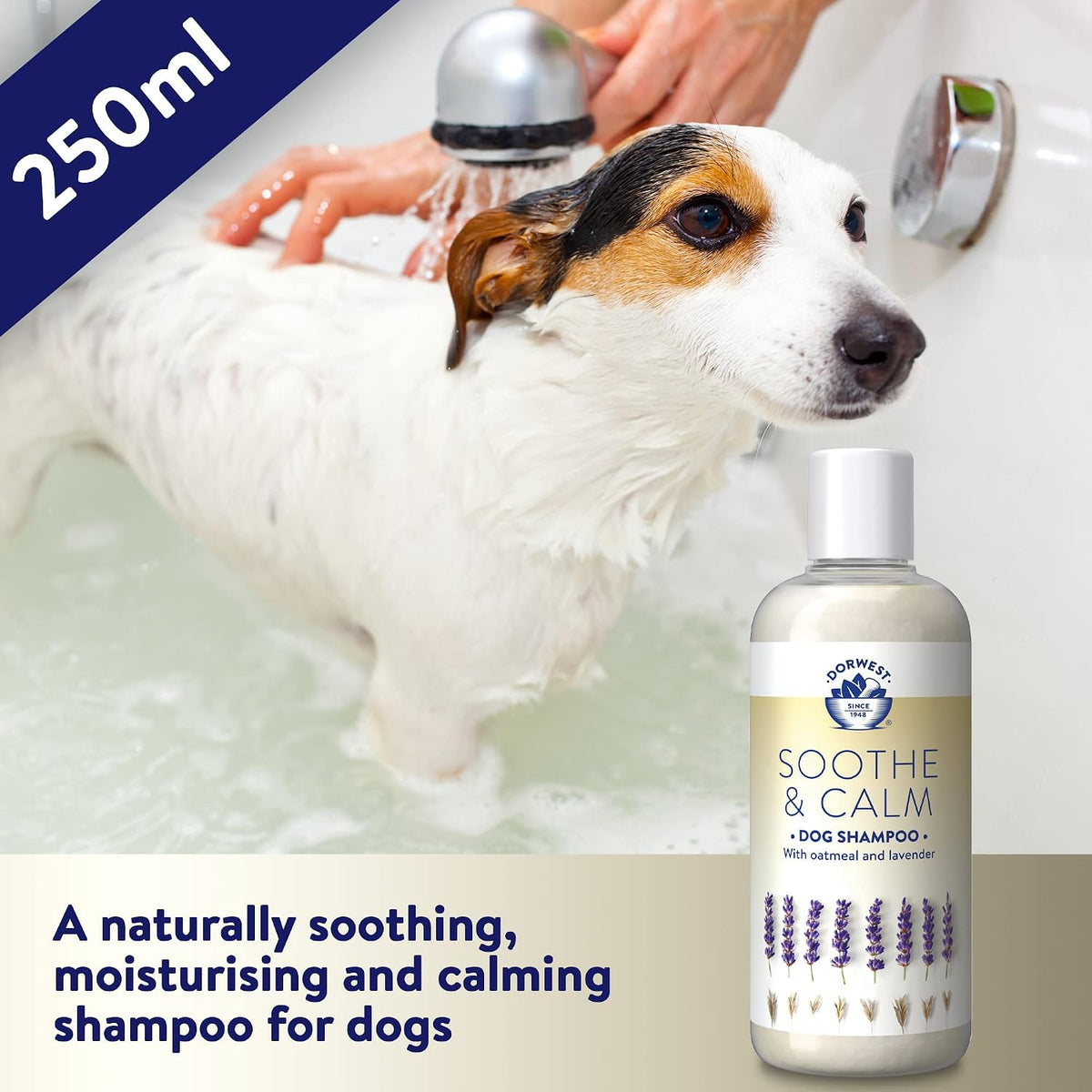 Dorwest Soothe and Calm Dog and Cat Shampoo 250Ml