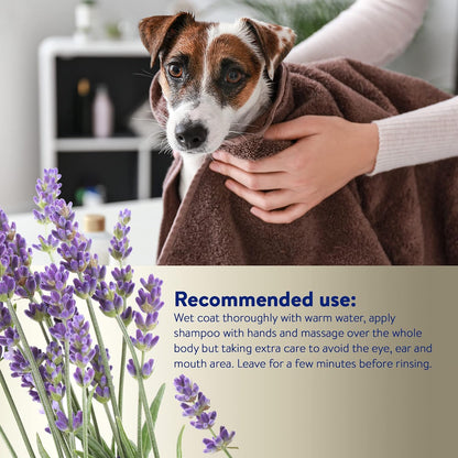 Dorwest Soothe and Calm Dog and Cat Shampoo 250Ml