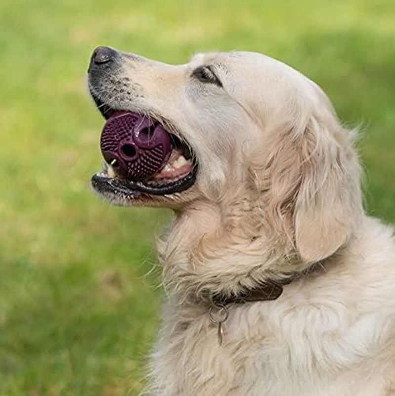 Planet Chew Treat Ball Eco Friendly Dog Toy