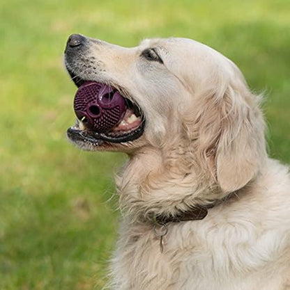 Planet Chew Treat Ball Eco Friendly Dog Toy