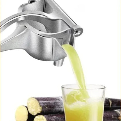 Stainless Steel Fruit Squeezer