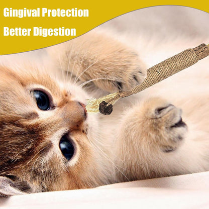 6 Pcs Natural Silvervine Sticks Kitten Teething Toys,Natural Cat Teeth Nip Cleaning Teeth,Chew Catnip Chew Toys,Naturalcat Chew Toys for Indoor Catteeth Cleaning Kitten Teething and Stress Release