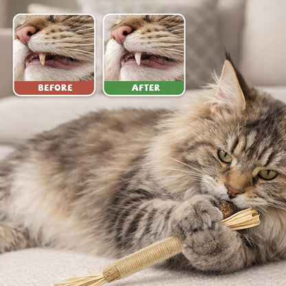 3PCS Cat Silvervine Chew Sticks,Cat Teeth Nip Cleaning Catnip Toys，Toys for Indoor Cats Kitten Teething and Stress Christmas and Birthday Gifts for Your Pet