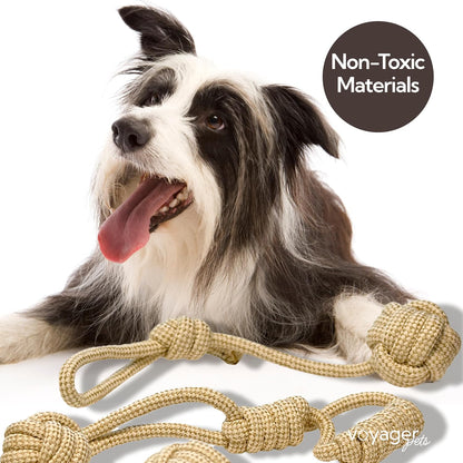 - Hemp Dog Toys, Made from Hemp Fibre & Organic Cotton, Gentle on Teeth & Gums - Sustainable, Natural, & Non-Toxic Materials, Suitable for All Breeds - Set of 3
